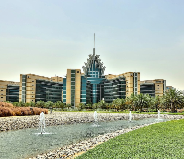 Dubai-Silicon-Authority-2